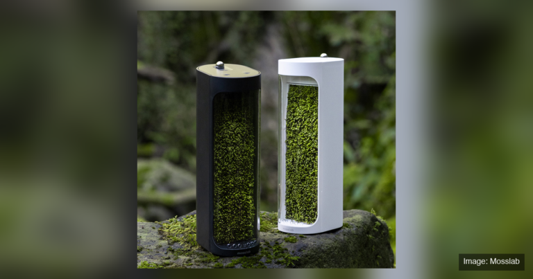 Mosslab Moss Air desktop humidifier